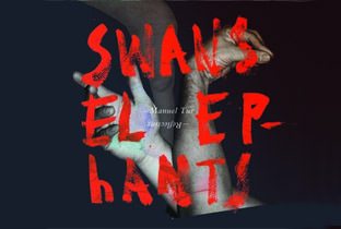 Swans Reflecting Elephants by Manuel Tur Swans Reflecting Elephants by Manuel Tur